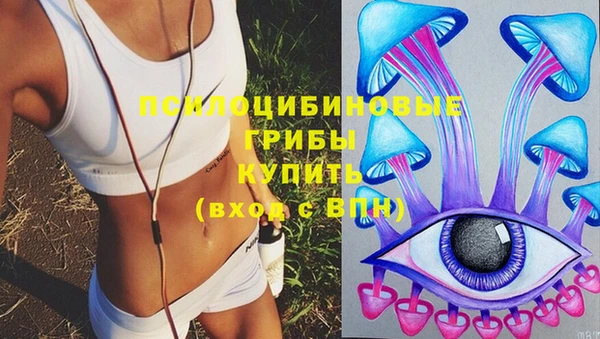 мяу мяу мука Инта